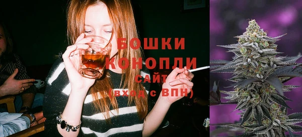 амф Бронницы
