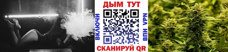 МАРИХУАНА конопля  купить закладку  Новоузенск 